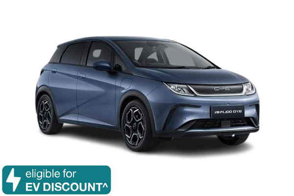 smart_byd_dolphin_old_brand.png
